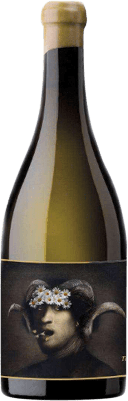 62,95 € Envio grátis | Vinho Branco Terlegiz Jovem D.O. Bizkaiko Txakolina