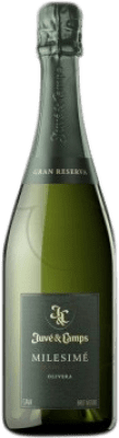 Juvé y Camps Millésimé Brut Nature Grande Réserve