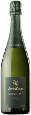 Juvé y Camps Brut Nature — Bruto Natural Millésimé Grande Reserva