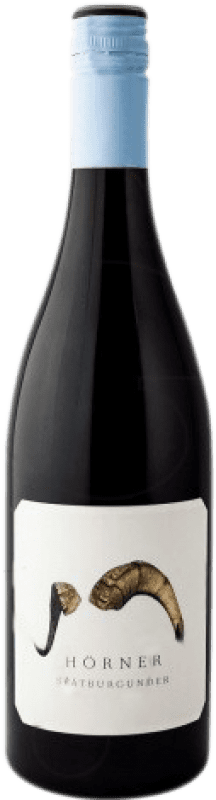 Бесплатная доставка | Белое вино Weingut Hörner Q.b.A. Pfälz Пфальце Германия Pinot Black 75 cl