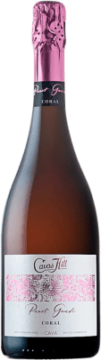 Hill Panot Gaudí Coral Rose Pálido Brut