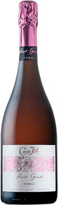 Hill Panot Gaudí Coral Rose Pálido Brut Cava 75 cl