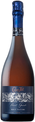 Hill Panot Gaudí Brut Nature Cava 75 cl