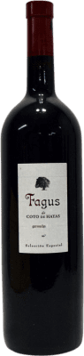 Bodegas Aragonesas Fagus Grenache Campo de Borja бутылка Магнум 1,5 L