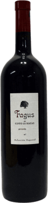 Bodegas Aragonesas Fagus 1,5 L