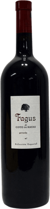 39,95 € | Rotwein Bodegas Aragonesas Fagus D.O. Campo de Borja Aragón Spanien Garnacha — Grenache Magnumflasche 1,5 L