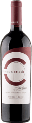 Dominio de Calogía Tempranillo — テンプラニーリョ Ribera del Duero 75 cl