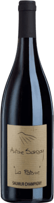 Antoine Sanzay La Paterne Cabernet Franc — Каберне Фран Saumur-Champigny Бутылка Магнум 1,5 L