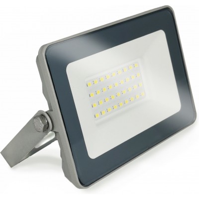 7,95 € Envio grátis | Holofote externo 30W 4500K Luz neutra. 23×15 cm. PROLINE Alto brilho. EPISTAR 5730 SMD LED Chip Alumínio e vidro temperado. Cor cinza