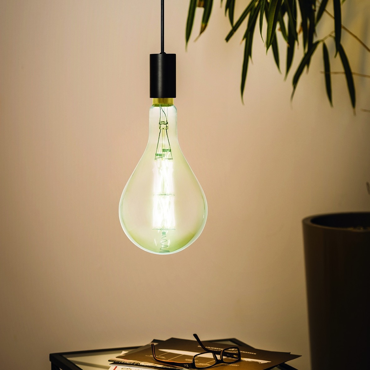 35,95 € Spedizione Gratuita | Lampadina LED Eglo LM LED E27 8W E27 LED PS160 3000K Luce calda. Ø 16 cm. Bicchiere. Colore nero e nero trasparente