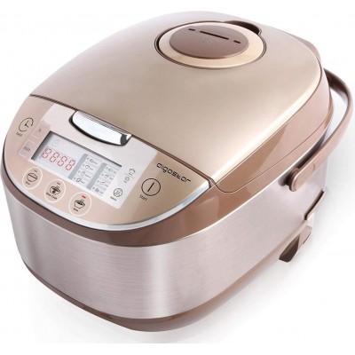 Kitchen appliance Aigostar 900W 39×28 cm. Multifunction kitchen robot. Removable and washable cover. Timer and keep warm function. 5 liters Stainless steel, Aluminum and PMMA. Brown Color