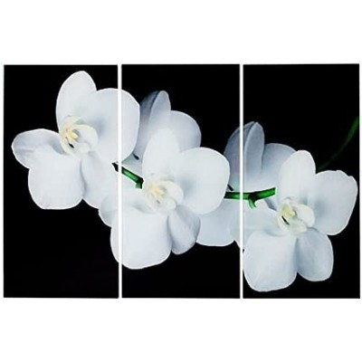 233,95 € Free Shipping | Picture lighting 60×60 cm. Backlit painting with floral drawing White Color