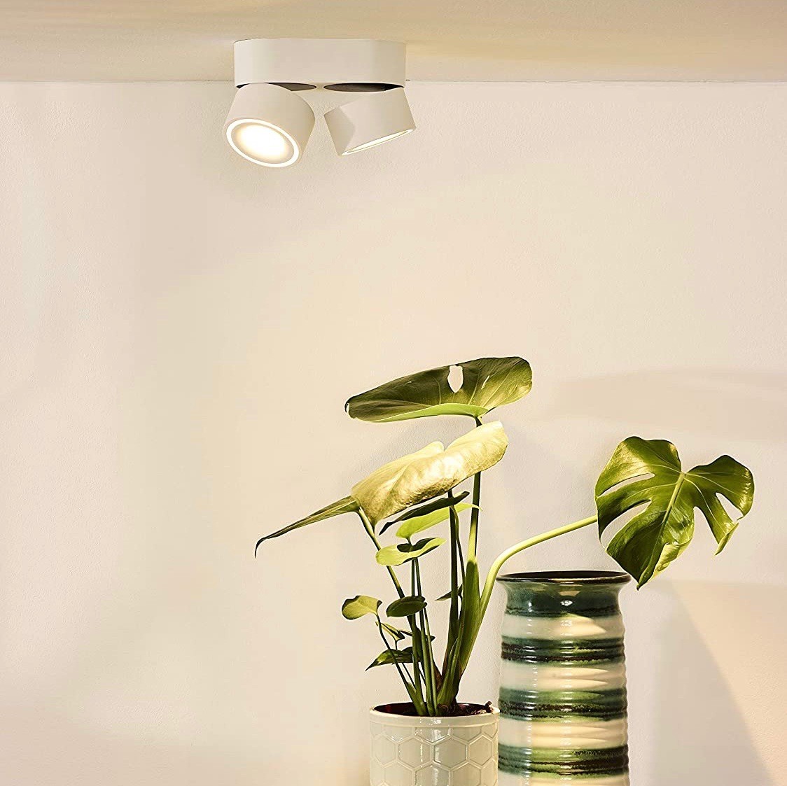 265,95 € Envío gratis | Foco para interior 16W 16×8 cm. Doble foco LED orientable Aluminio. Color blanco